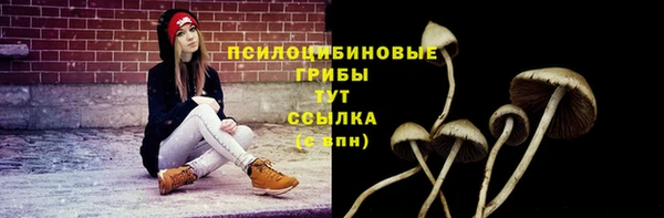 крисы Богородск