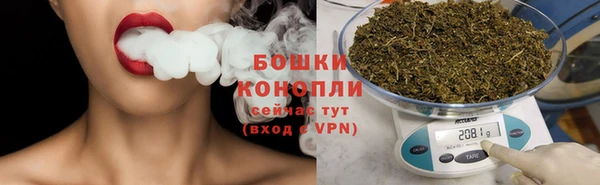 крисы Богородск