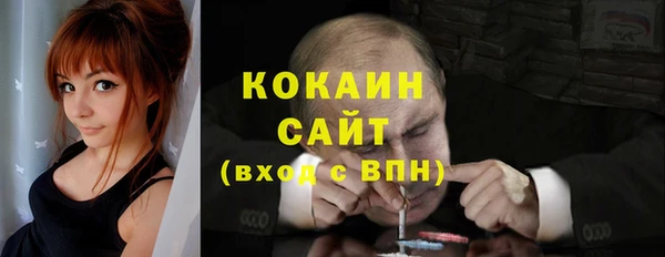 крисы Богородск