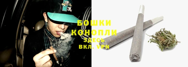 прущие крисы Белокуриха