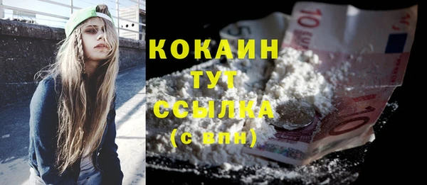 винт Верея