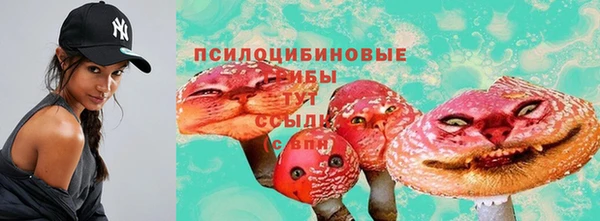 индика Верхний Тагил