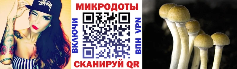 дарнет шоп  Старица  кракен рабочий сайт  Галлюциногенные грибы Cubensis 